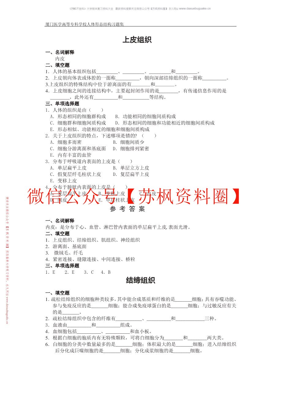 人体形态与结构